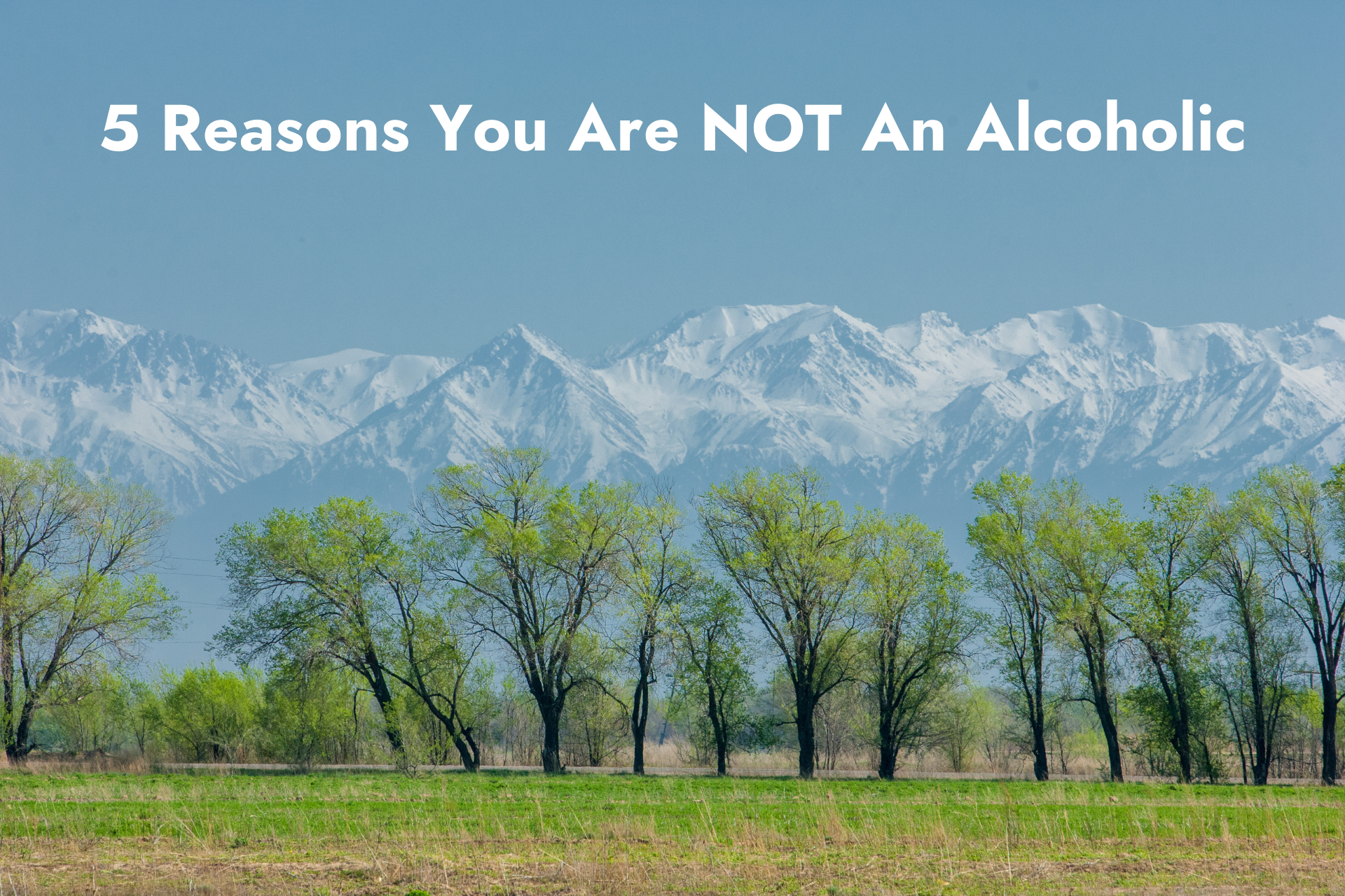 5 Reasons You Are NOT An Alcoholic