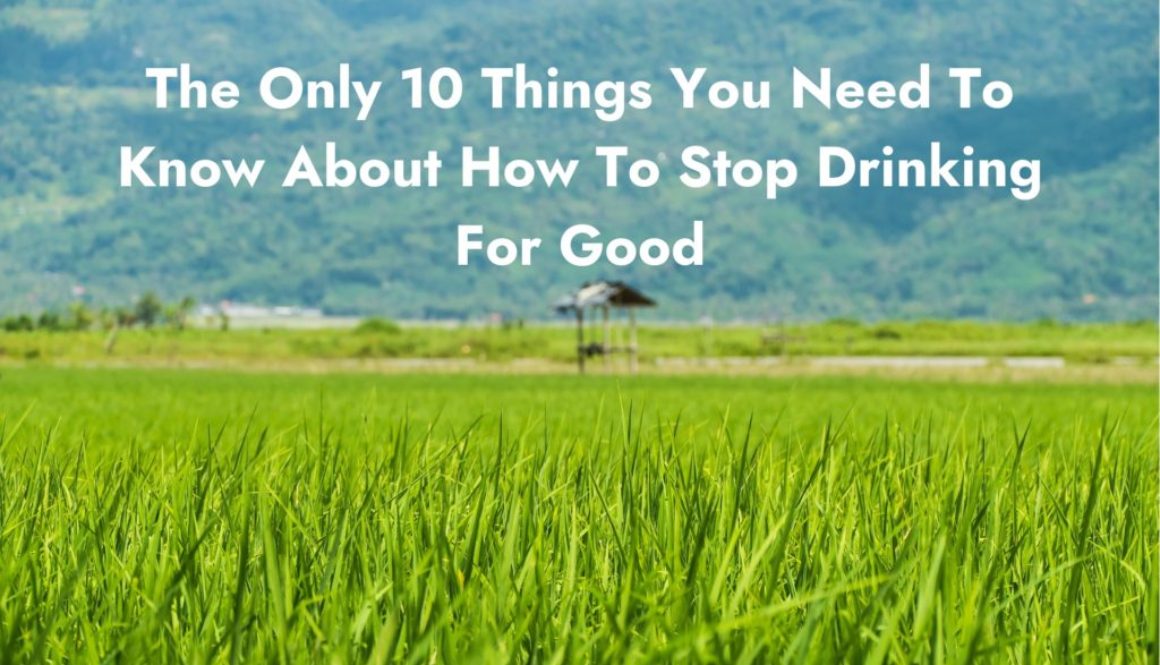 The Only 10 Things You Need To Know About How To Stop Drinking For Good