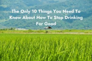 The Only 10 Things You Need To Know About How To Stop Drinking For Good