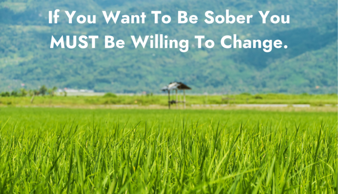 If You Want To Be Sober You MUST Be Willing To Change.