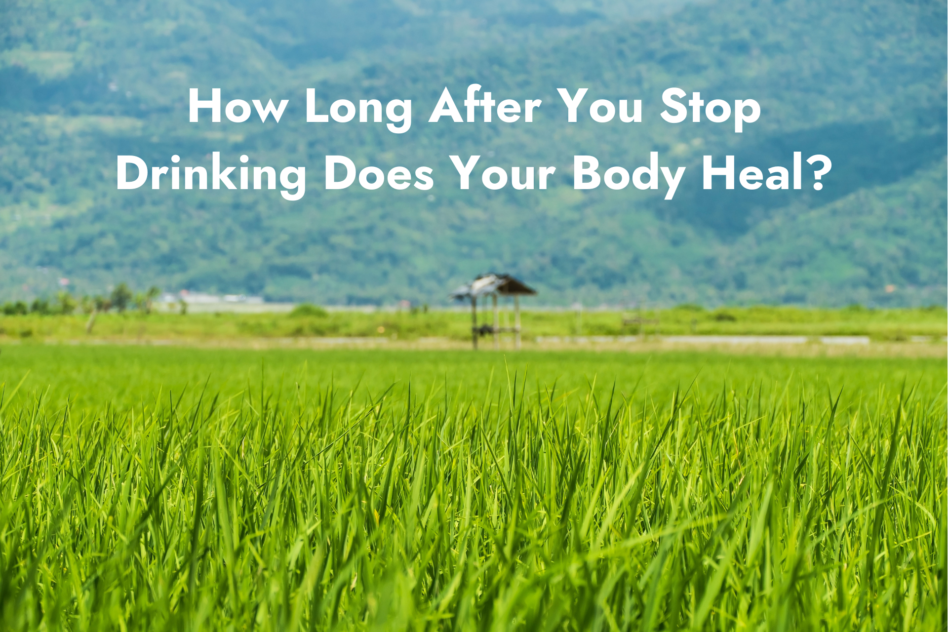 How Long After You Stop Drinking Does Your Body Heal?
